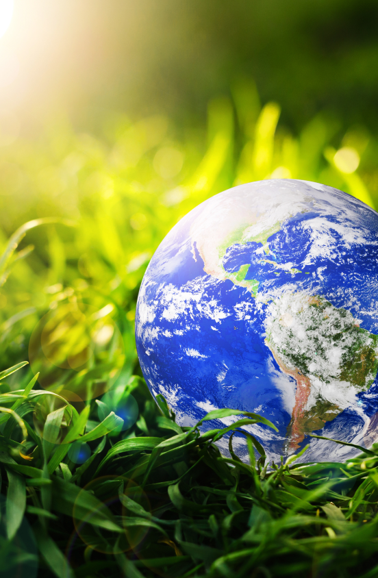 BÆREKRAFT_save-and-protection-earth-planet-2024-09-16-22-29-38-utc (1)-1