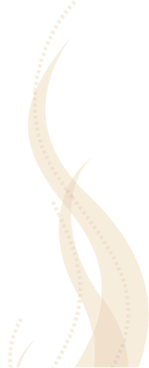 Quiz_left_image