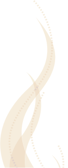 Quiz_right_image