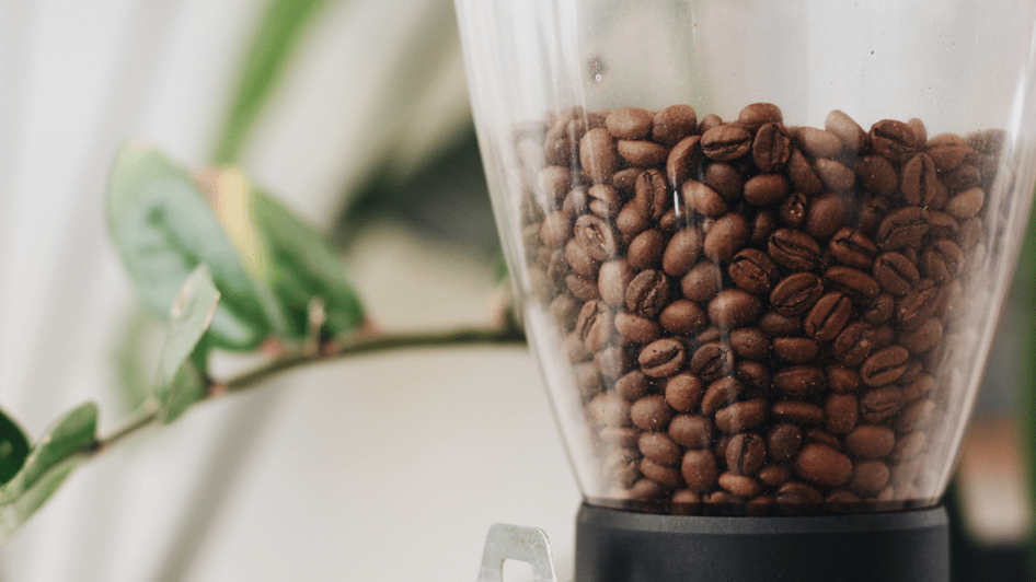 Kaffemaskinguiden_bønnebeholder