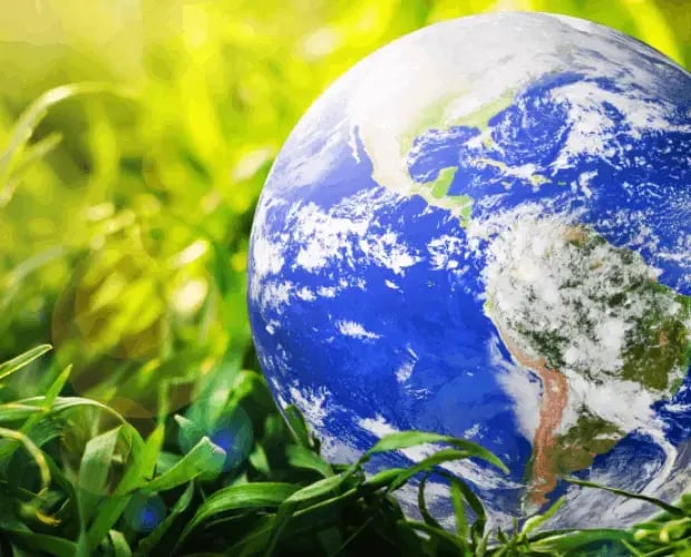 BÆREKRAFT_save-and-protection-earth-planet-2024-09-16-22-29-38-utc (1)-1
