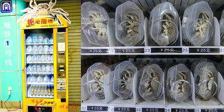 varoma-vending-krabbe1.png
