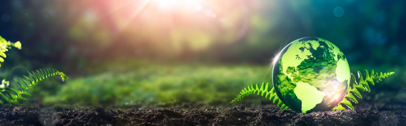 sustainable 1600x500